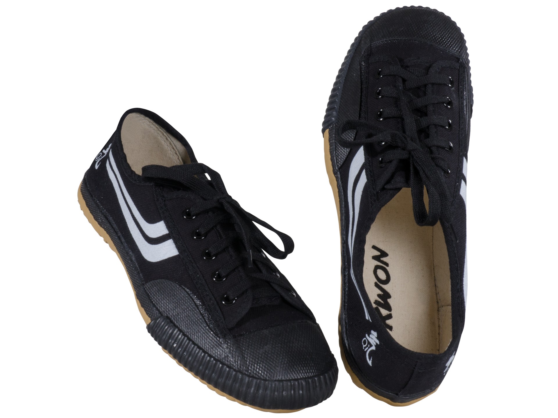 Canvas Training shoes