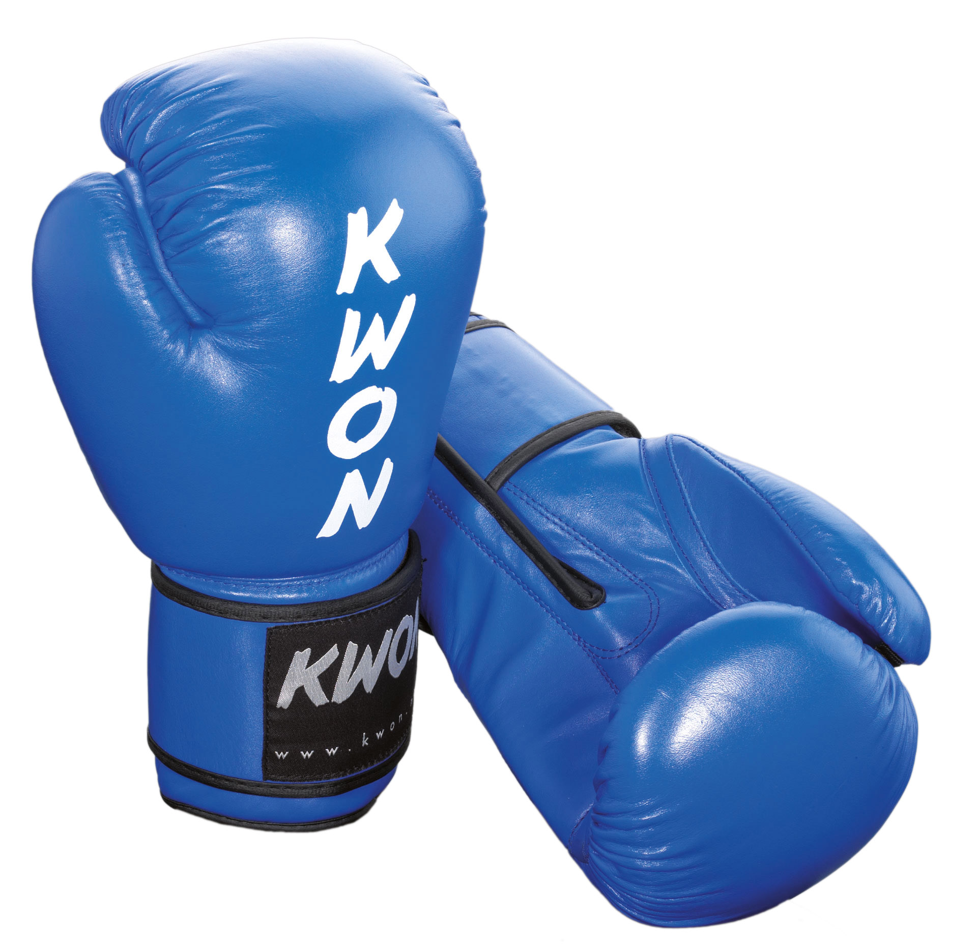 Boxing glove Ergo Champ 10 oz