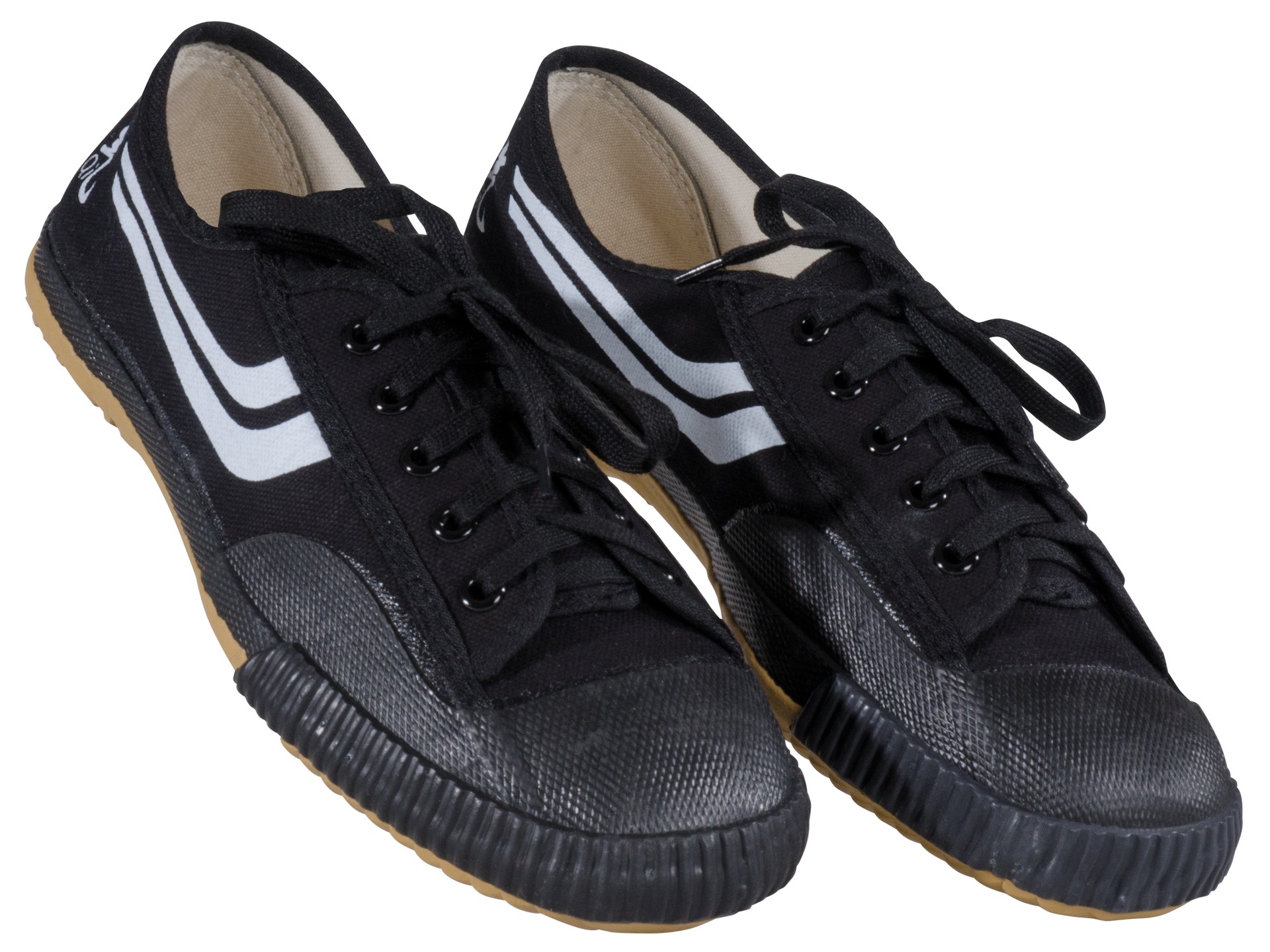 Canvas Training shoes