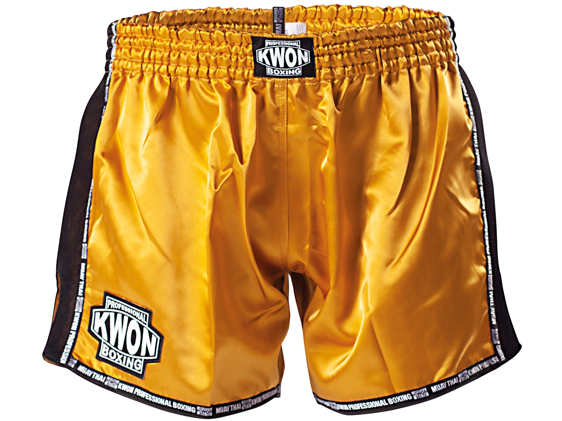 Thai Kickboxing shorts Evolution