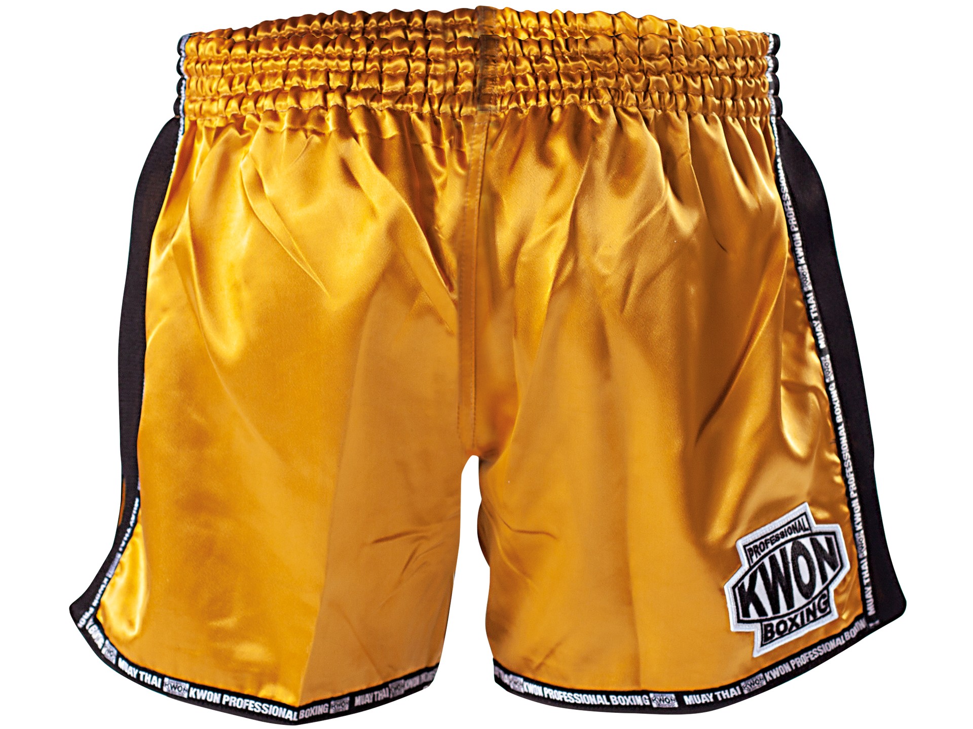 Thai Kickboxing shorts Evolution