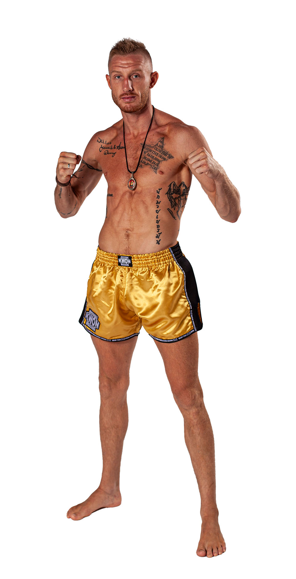 Thai Kickboxing shorts Evolution