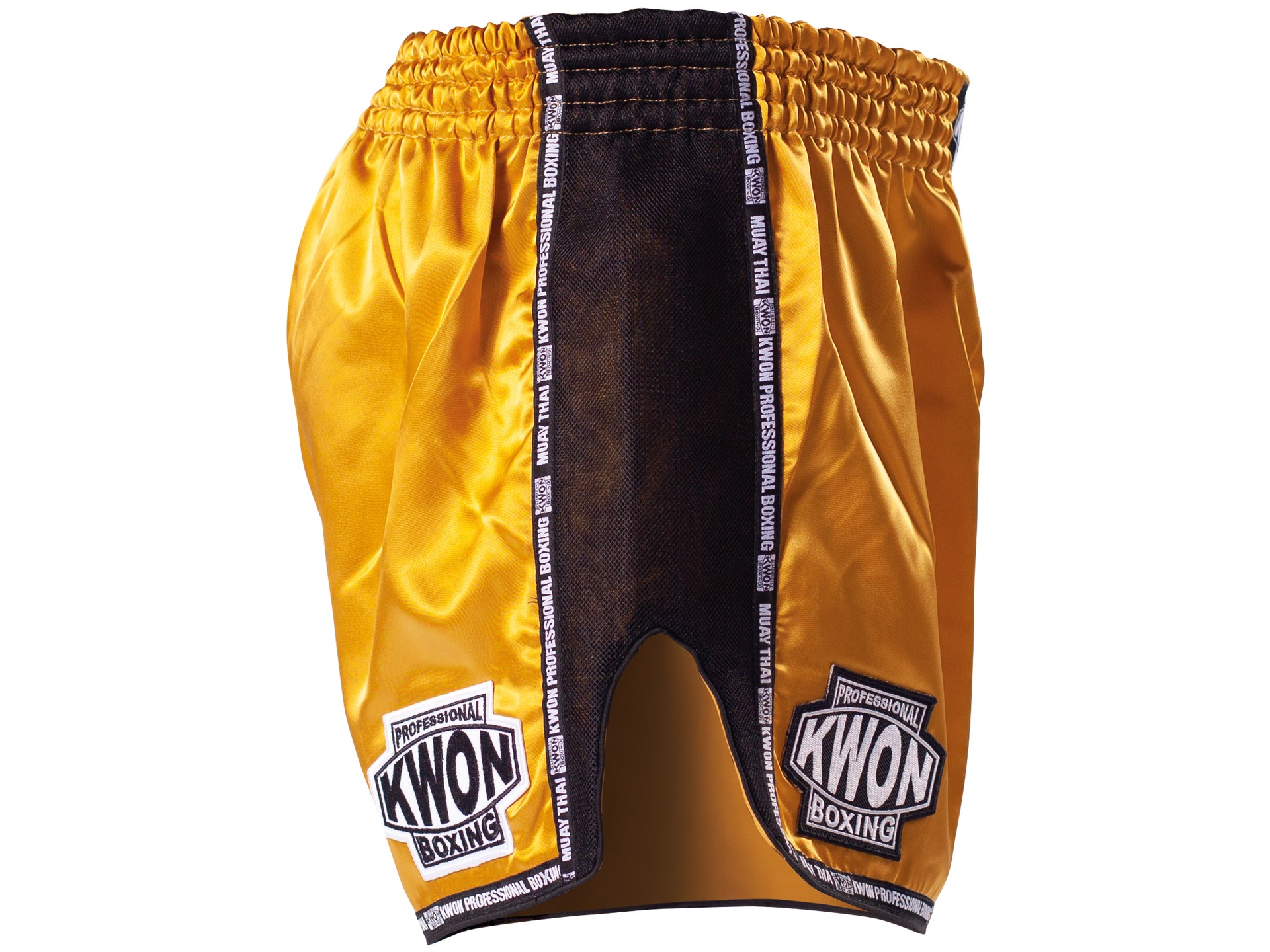 Thai Kickboxing shorts Evolution