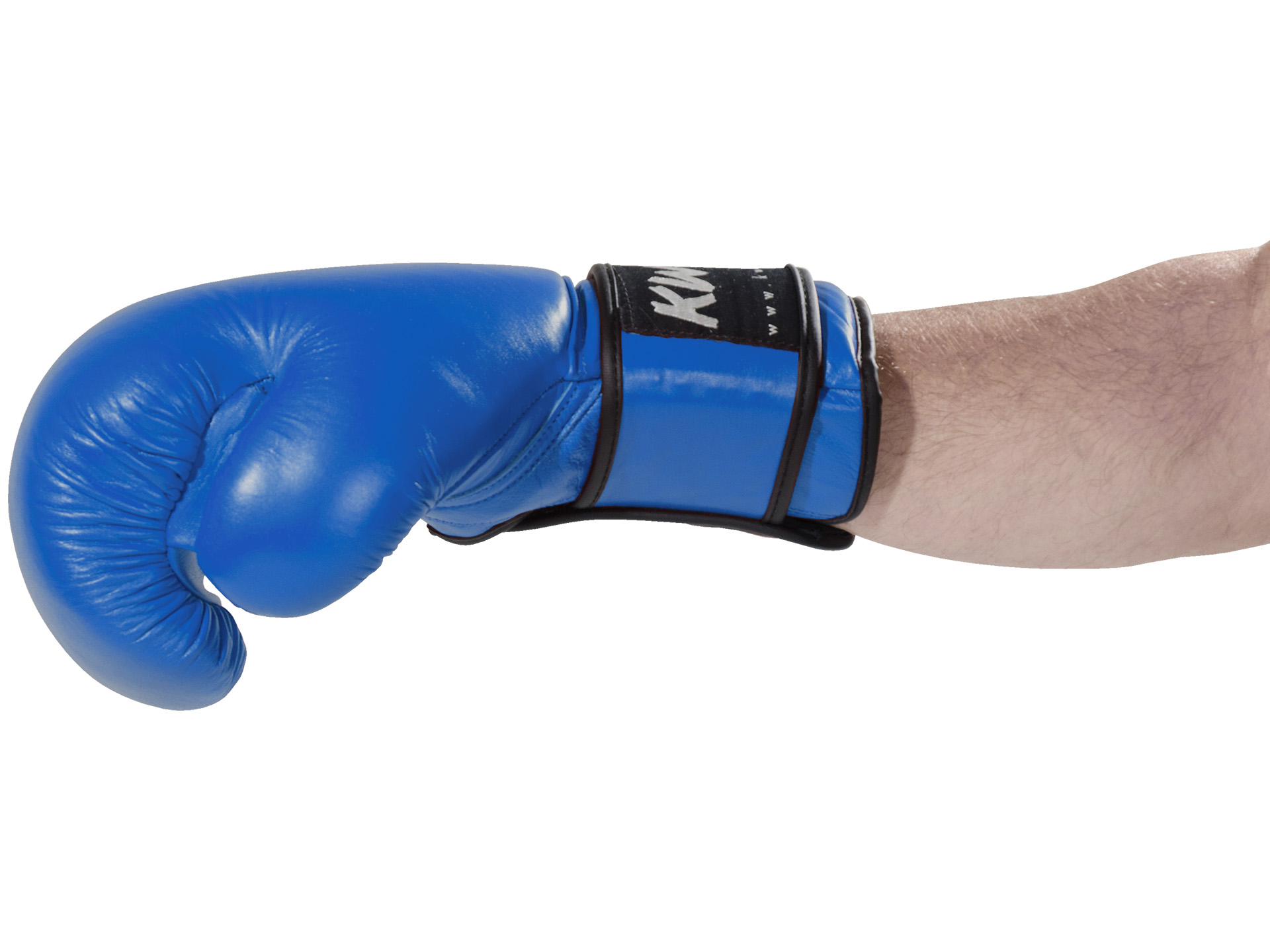 Boxing glove Ergo Champ 10 oz