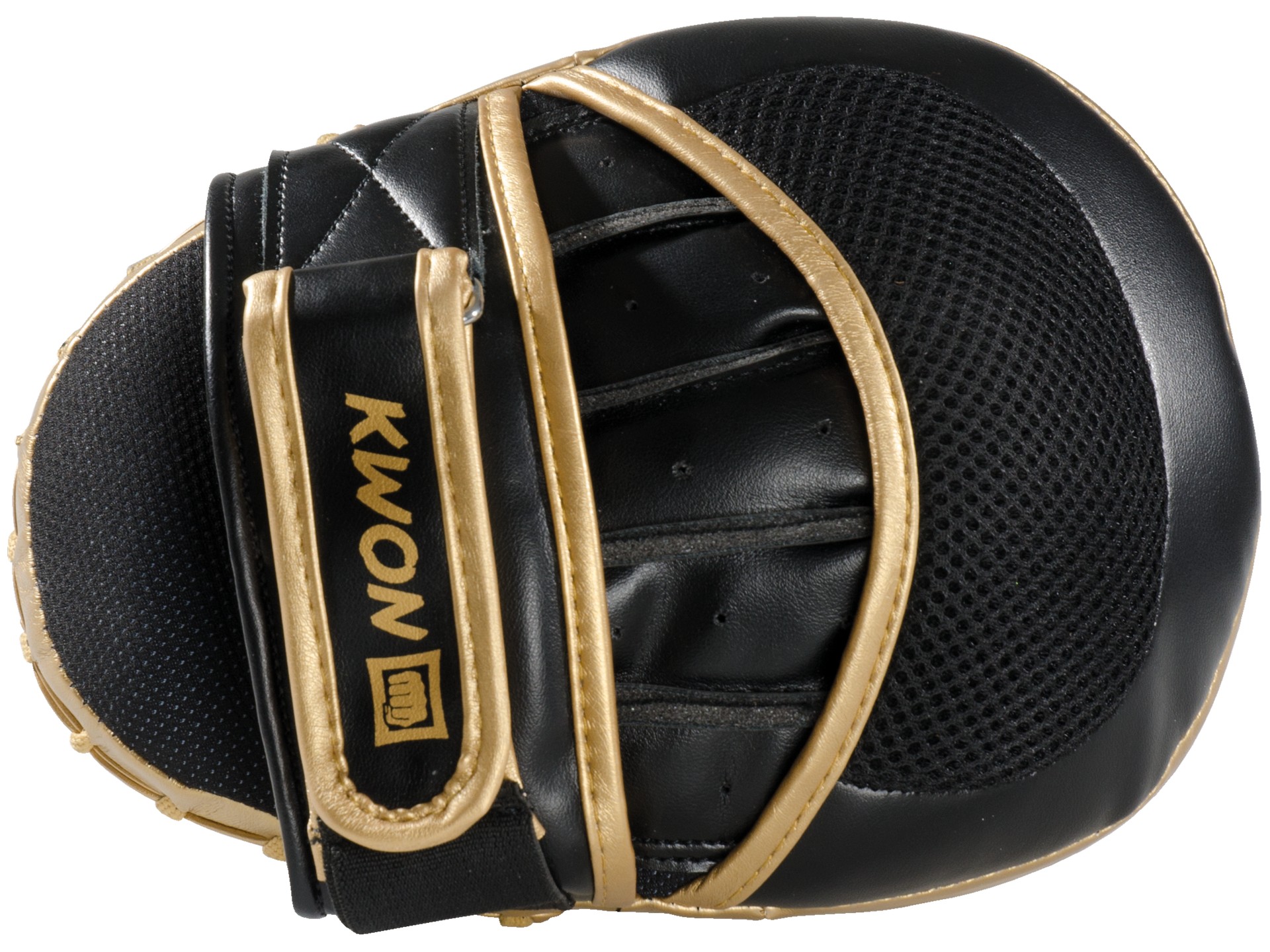 Coaching Mitt Ultimate pair