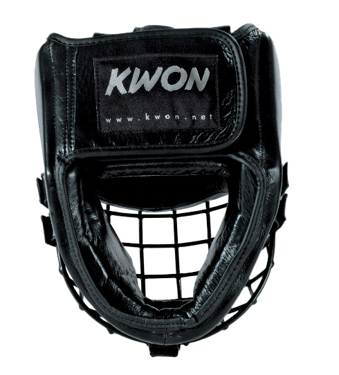 Head Guard with iron sight