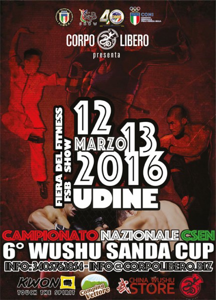 SANDA-CUP2016