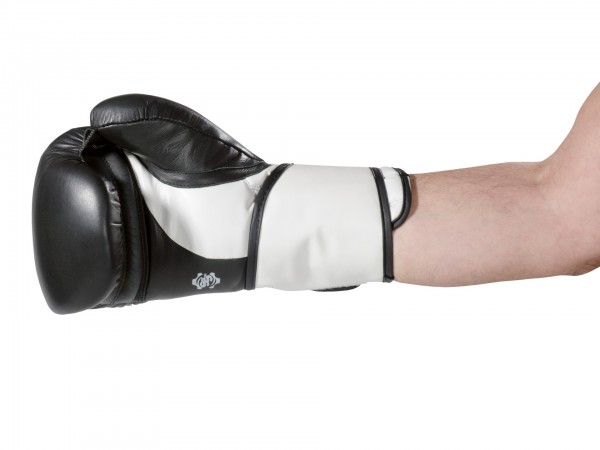 Boxing Gloves Super Champ