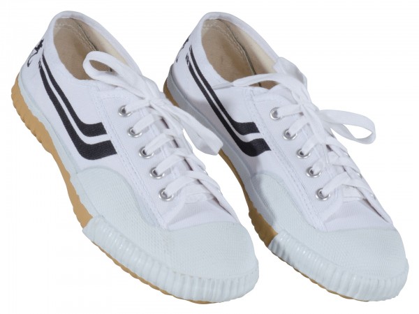 Canvas Training Shoes