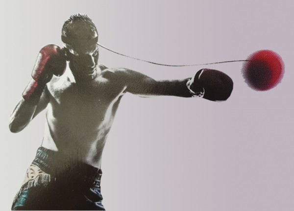 Boxing Reflex Ball