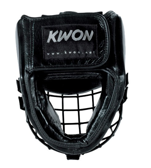 Head Guard with Iron Sight