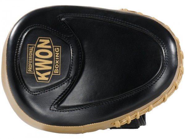 Coaching Mitt Ultimate pair