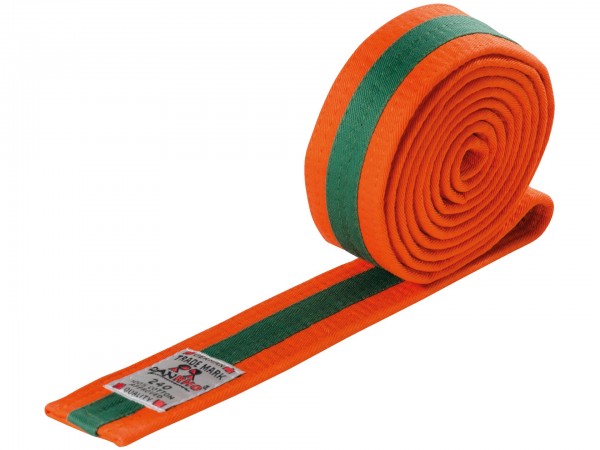 DANRHO Youth Belt multicoloured