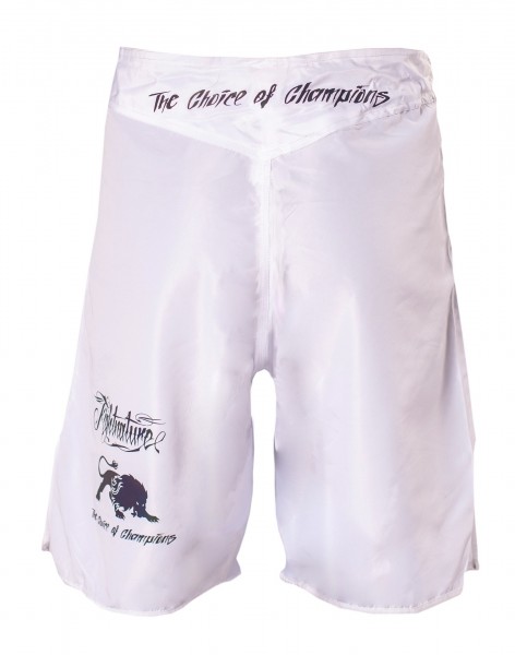 FIGHTNATURE MMA Shorts reflective print