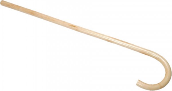 Cane with round handle