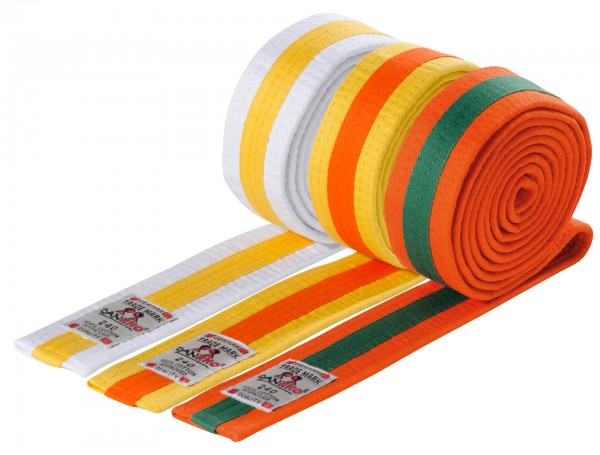 DANRHO Youth Belt multicoloured