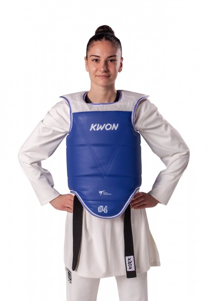 Taekwondo Body Protector Training Korean Style WT recognized