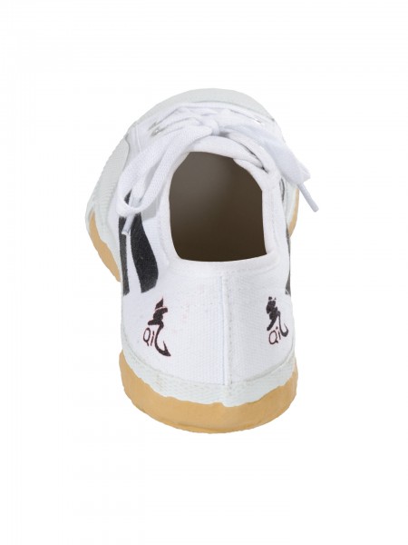 Canvas Training Shoes