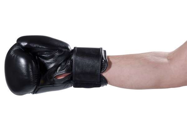 Boxing Gloves Pointer Leather