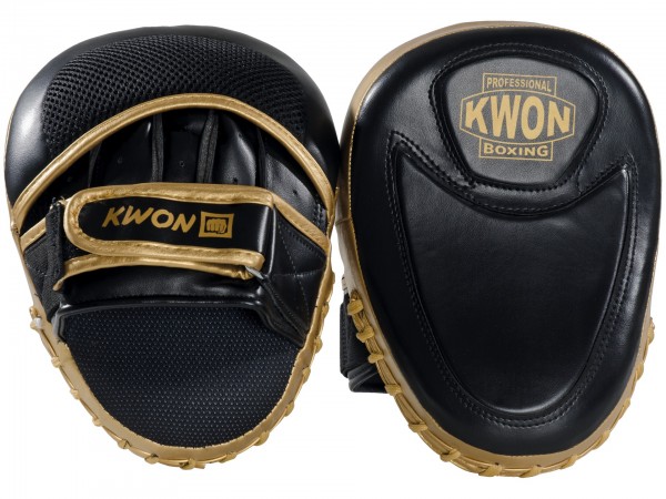 Coaching Mitt Ultimate pair