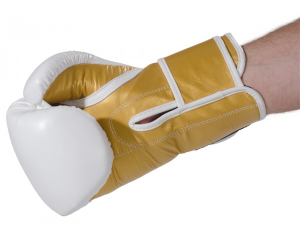 Kickboxing Glove KO Champ