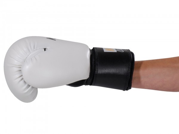 Boxing Glove Pointer Small Hand 8oz